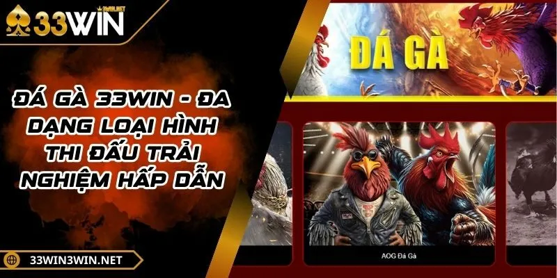 da-ga-33win